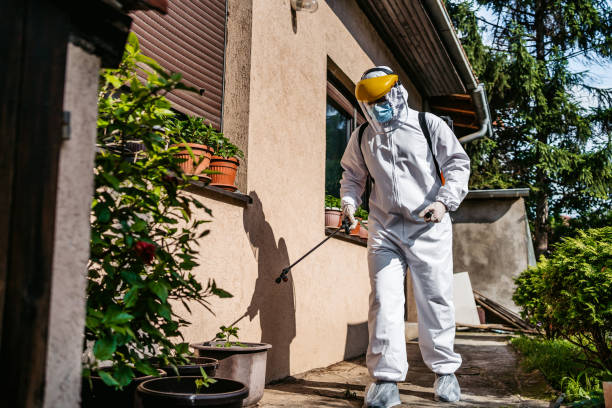 Best Flea Control Services  in Flower Hill, NY