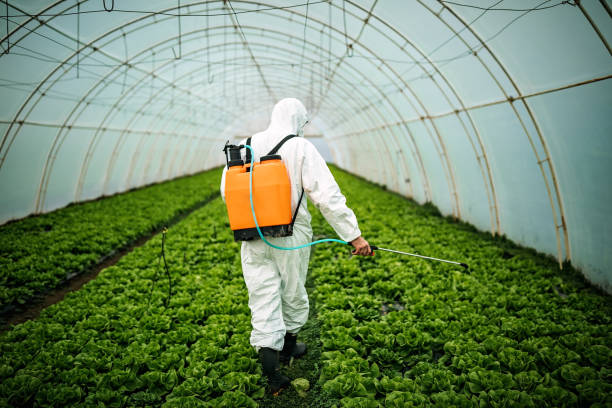 Best Ant Control Services  in Flower Hill, NY