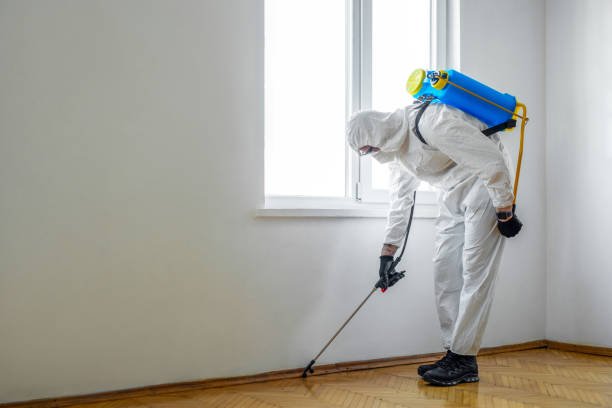 Best Pest Control Near Me in Flower Hill, NY