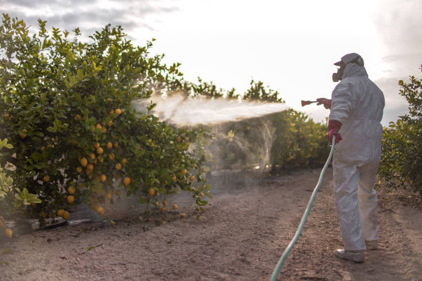 Best Pest Removal Services  in Flower Hill, NY