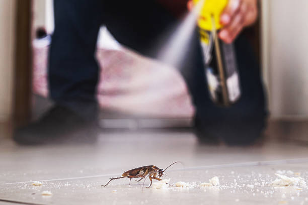Best Pest Control Cost  in Flower Hill, NY