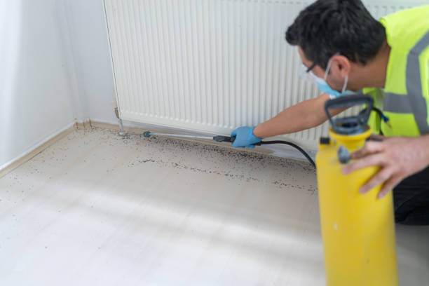 Best Best Pest Control Companies  in Flower Hill, NY